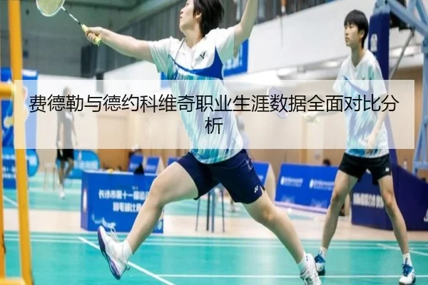 费德勒与德约科维奇职业生涯数据全面对比分析